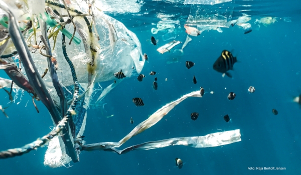 Schmuckbild: Plastik und anderer Müll im Meer