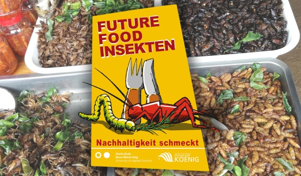 Geröstete Insekten in Kisten, darüber Broschüre der Ausstellung "Future Food Insekten"